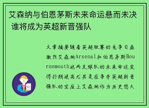 艾森纳与伯恩茅斯未来命运悬而未决 谁将成为英超新晋强队