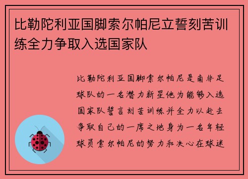 比勒陀利亚国脚索尔帕尼立誓刻苦训练全力争取入选国家队