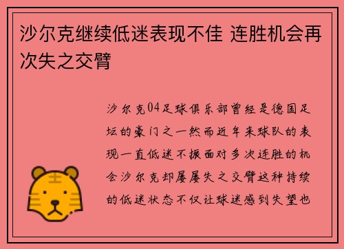 沙尔克继续低迷表现不佳 连胜机会再次失之交臂